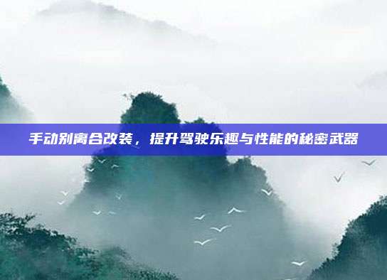 手动别离合改装,提升驾驶乐趣与性能的秘密武器