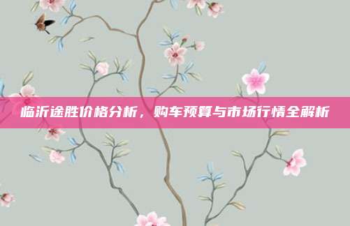临沂途胜价格分析,购车预算与市场行情全解析