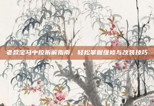 老款宝马中控拆解指南,轻松掌握维修与改装技巧
