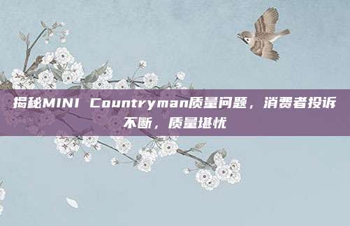 揭秘MINI Countryman质量问题,消费者投诉不断,质量堪忧