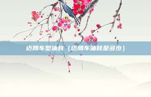 迈腾车型油耗（迈腾车油耗是多少）