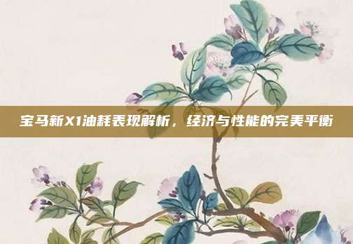宝马新X1油耗表现解析,经济与性能的完美平衡
