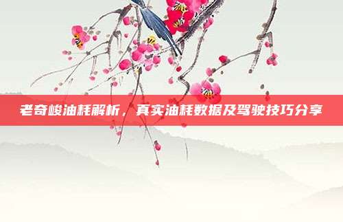 老奇峻油耗解析,真实油耗数据及驾驶技巧分享