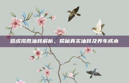 路虎揽胜油耗解析,揭秘真实油耗及养车成本