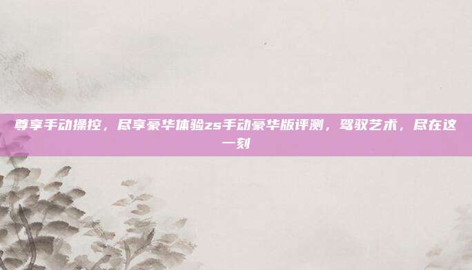 尊享手动操控,尽享豪华体验zs手动豪华版评测,驾驭艺术,尽在这一刻