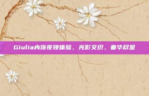 Giulia内饰夜晚体验,光影交织,奢华尽显