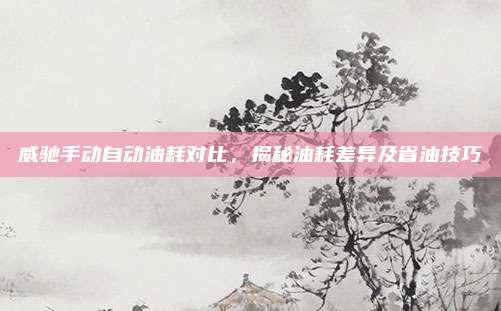 威驰手动自动油耗对比,揭秘油耗差异及省油技巧