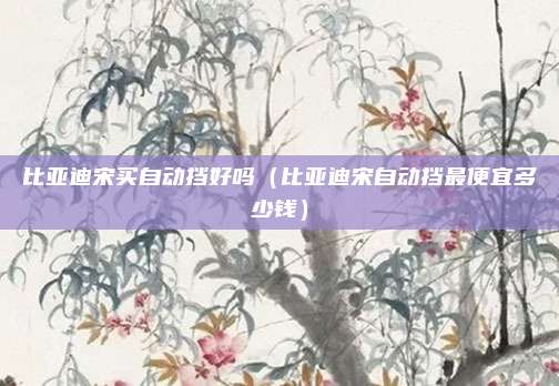 比亚迪宋买自动挡好吗（比亚迪宋自动挡最便宜多少钱）