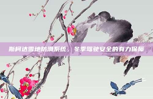 斯柯达雪地防滑系统,冬季驾驶安全的有力保障