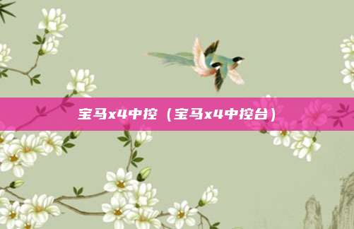 宝马x4中控（宝马x4中控台）
