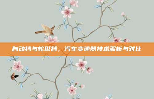自动挡与蛇形挡，汽车变速器技术解析与对比