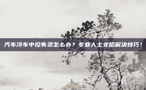 汽车冷车中控失灵怎么办?专业人士支招解决技巧!