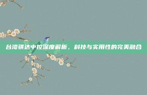 台湾骐达中控深度解析,科技与实用性的完美融合