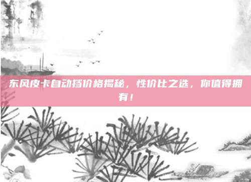 东风皮卡自动挡价格揭秘,性价比之选,你值得拥有!