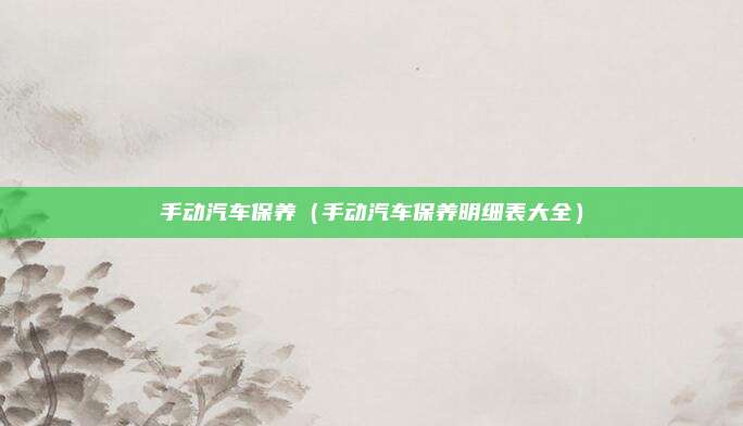 手动汽车保养（手动汽车保养明细表大全）