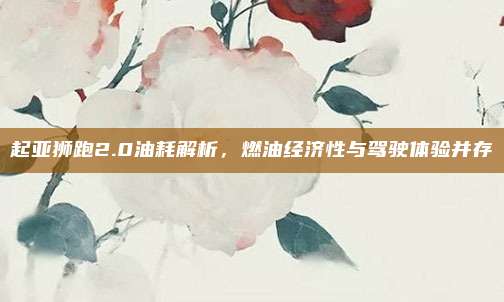起亚狮跑2.0油耗解析,燃油经济性与驾驶体验并存