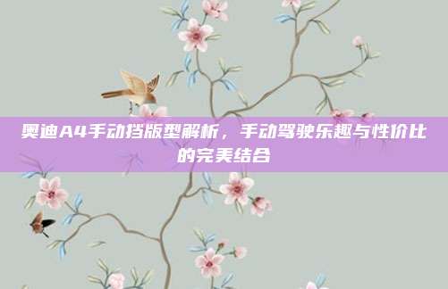 奥迪A4手动挡版型解析,手动驾驶乐趣与性价比的完美结合