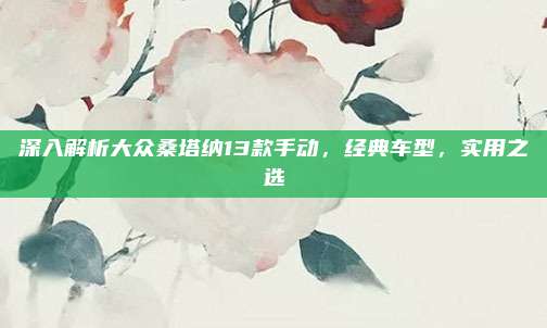 深入解析大众桑塔纳13款手动,经典车型,实用之选