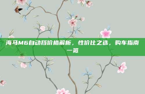 海马M6自动挡价格解析，性价比之选，购车指南一览
