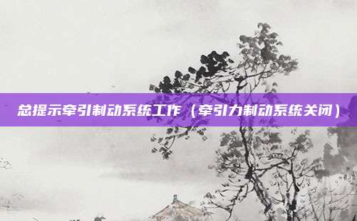 总提示牵引制动系统工作（牵引力制动系统关闭）