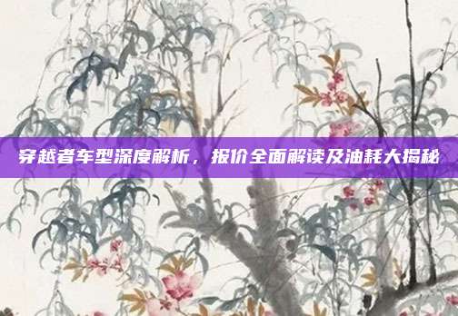 穿越者车型深度解析,报价全面解读及油耗大揭秘