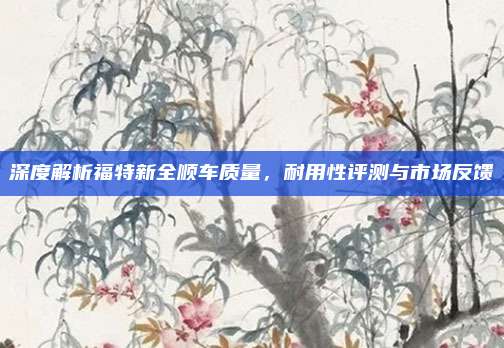 深度解析福特新全顺车质量,耐用性评测与市场反馈