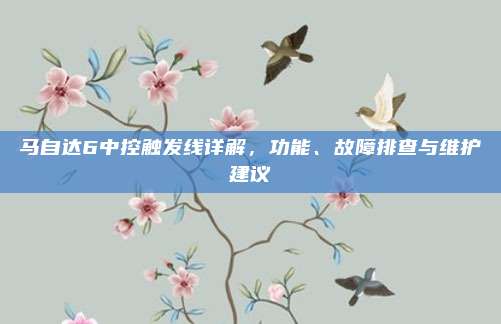 马自达6中控触发线详解,功能、故障排查与维护建议