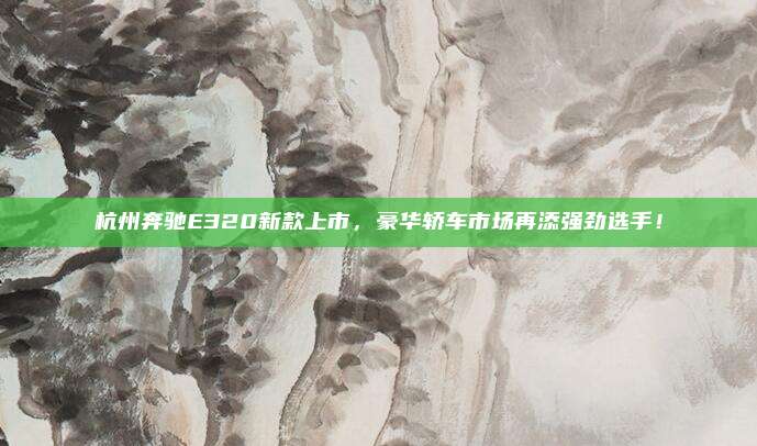 杭州奔驰E320新款上市,豪华轿车市场再添强劲选手!