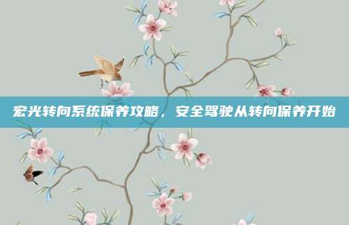 宏光转向系统保养攻略,安全驾驶从转向保养开始