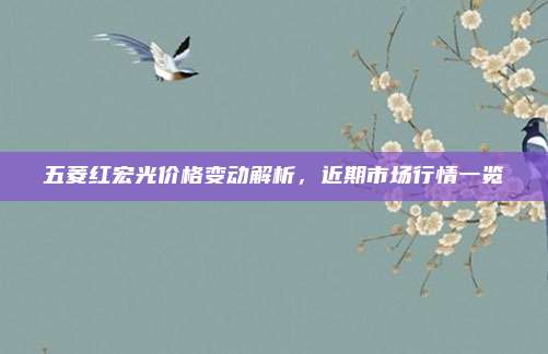 五菱红宏光价格变动解析,近期市场行情一览