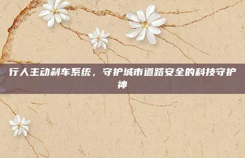 行人主动刹车系统,守护城市道路安全的科技守护神