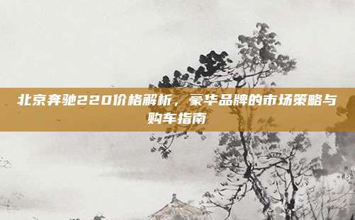 北京奔驰220价格解析,豪华品牌的市场策略与购车指南
