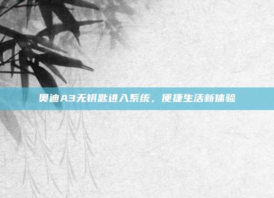 奥迪A3无钥匙进入系统,便捷生活新体验