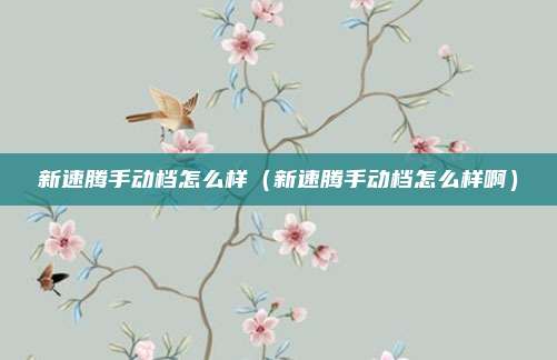 新速腾手动档怎么样（新速腾手动档怎么样啊）