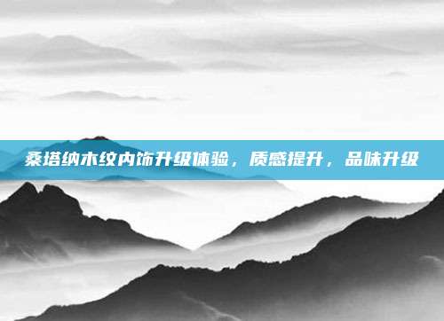 桑塔纳木纹内饰升级体验,质感提升,品味升级