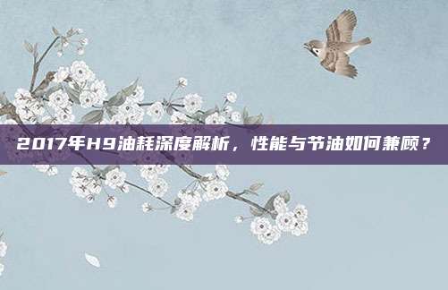 2017年H9油耗深度解析,性能与节油如何兼顾?