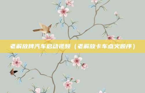 老解放牌汽车启动视频（老解放卡车点火顺序）