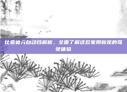 比亚迪元自动挡解析,全面了解这款家用新宠的驾驶体验