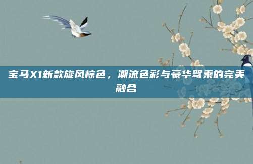 宝马X1新款旋风棕色,潮流色彩与豪华驾乘的完美融合