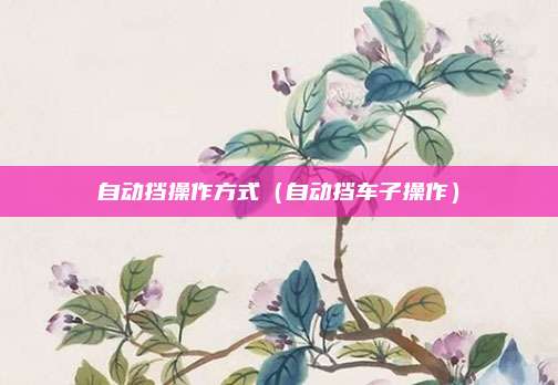 自动挡操作方式（自动挡车子操作）
