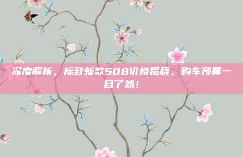 深度解析,标致新款508价格揭晓,购车预算一目了然!