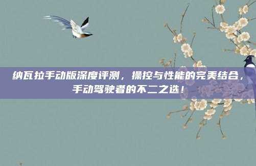 纳瓦拉手动版深度评测,操控与性能的完美结合,手动驾驶者的不二之选!