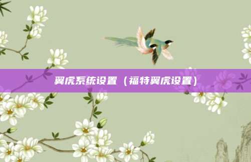 翼虎系统设置（福特翼虎设置）