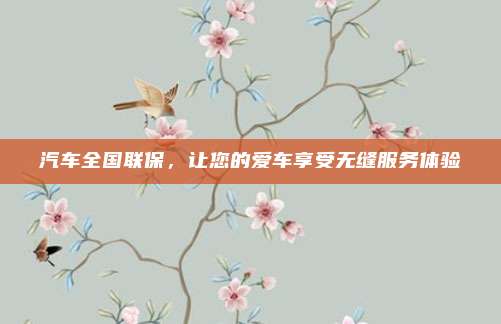 汽车全国联保，让您的爱车享受无缝服务体验