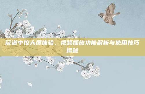 冠道中控大屏体验,视频播放功能解析与使用技巧揭秘