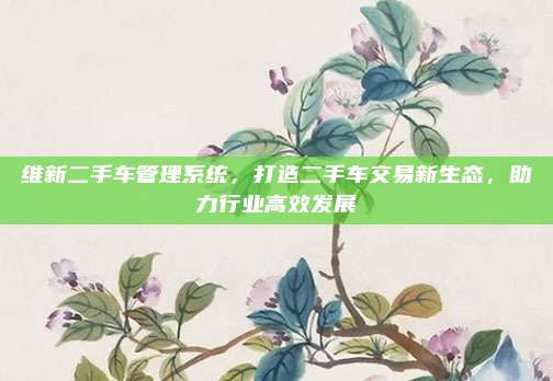 维新二手车管理系统,打造二手车交易新生态,助力行业高效发展
