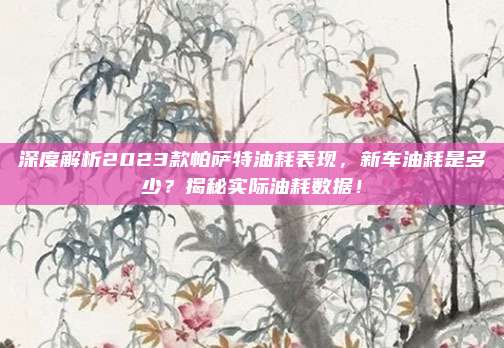 深度解析2023款帕萨特油耗表现,新车油耗是多少?揭秘实际油耗数据!