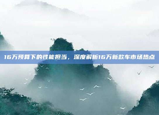 16万预算下的性能担当,深度解析16万新款车市场热点
