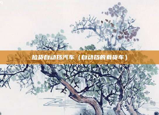 拉货自动挡汽车（自动挡的载货车）