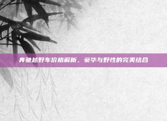 奔驰越野车价格解析,豪华与野性的完美结合